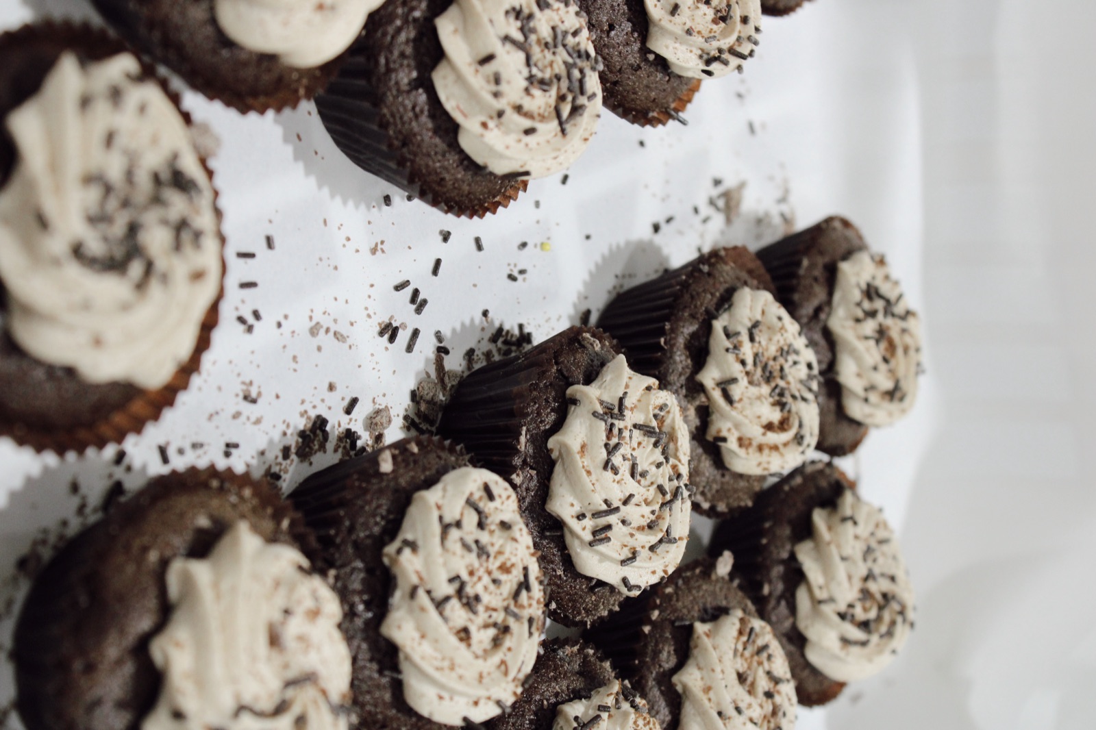 Chocolate cupcakes with cream frosting from Knotts Bakery
