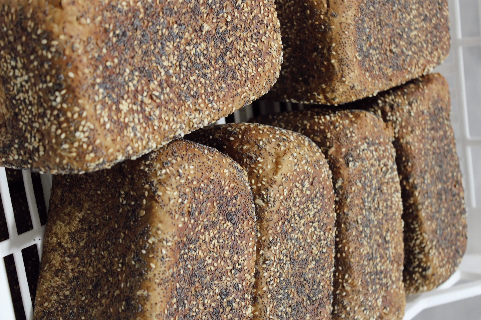 Seeded loaves moving along the Knotts Bakery production line
