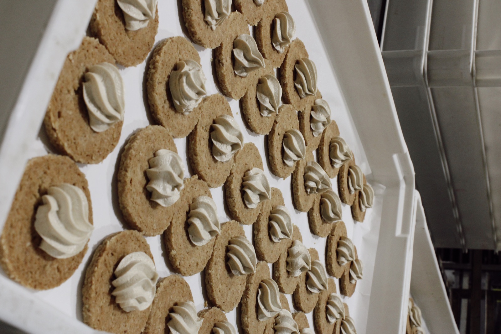 Ring biscuits with cream filling on bakery rack
